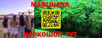 тгк Чебоксары