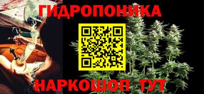 ПСИЛОЦИБИНОВЫЕ ГРИБЫ Чебаркуль