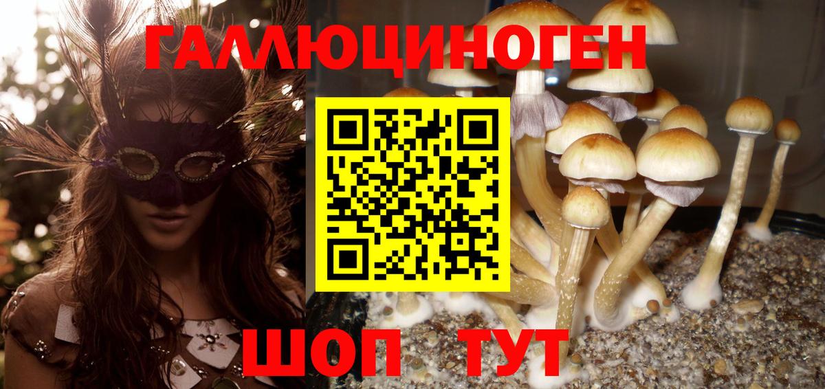 Псилоцибиновые грибы GOLDEN TEACHER  Вход с VPN  Волжский 
