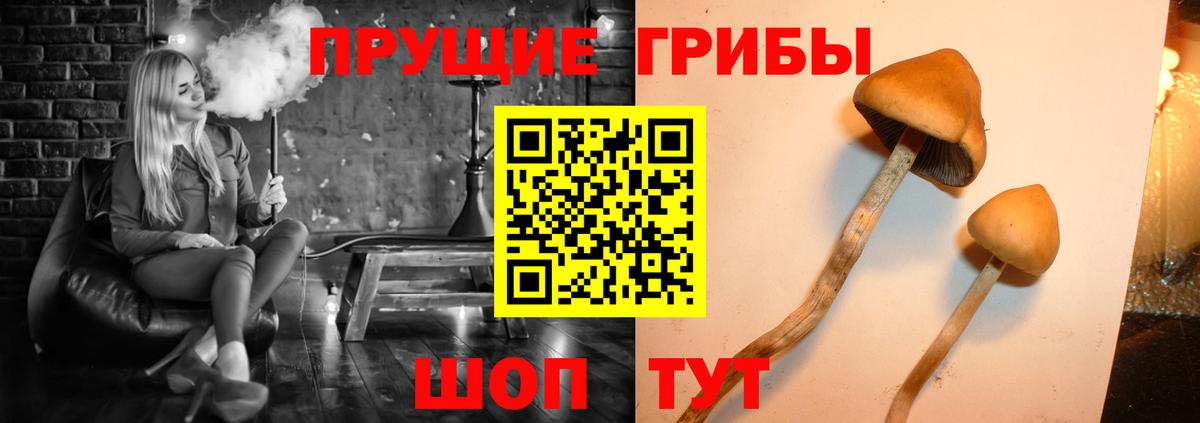 Псилоцибиновые грибы мицелий Волжский